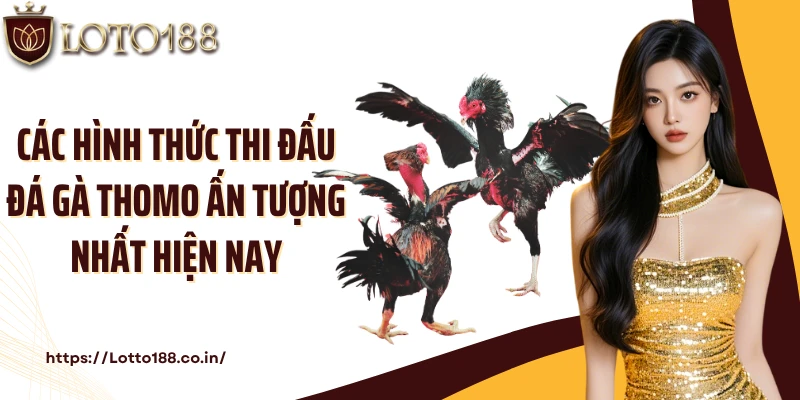 Các hình thức thi đấu đá gà Thomo ấn tượng nhất hiện nay