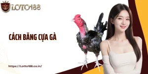 Cách Băng Cựa Gà Chuẩn Cùng Chuyên Gia Tại Nhà Cái Loto188