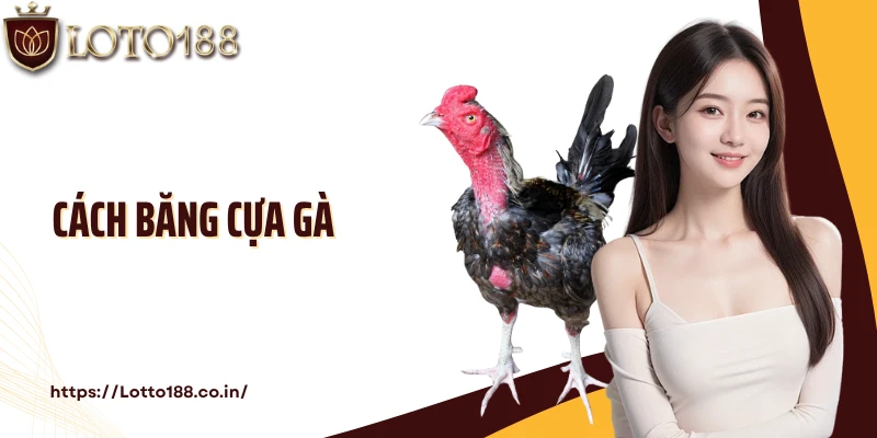 Cách Băng Cựa Gà Chuẩn Cùng Chuyên Gia Tại Nhà Cái Loto188