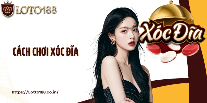 Cách Chơi Xóc Đĩa: Khám Phá Kiến Thức Cá Cược Cùng Loto188