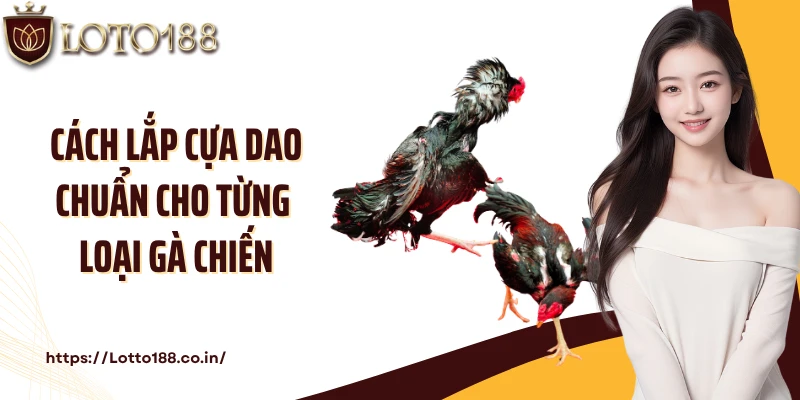 Cách lắp cựa dao chuẩn cho từng loại gà chiến