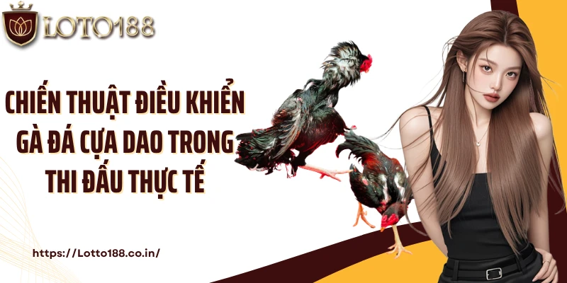 Chiến thuật điều khiển gà đá cựa dao trong thi đấu thực tế