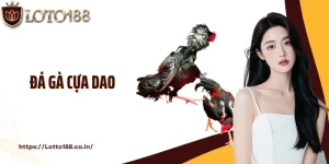 Đá Gà Cựa Dao: Thi Đấu Chiến Kê Đối Kháng Gay Cấn Nhất