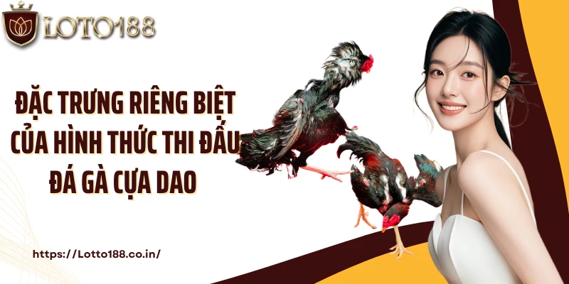 Đặc trưng riêng biệt của hình thức thi đấu đá gà cựa dao 
