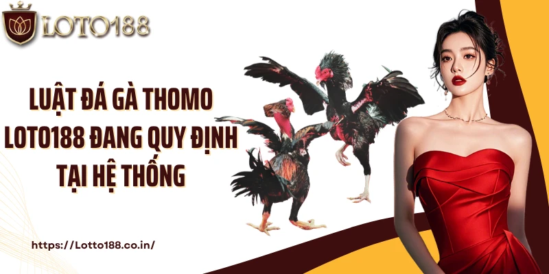 Luật đá gà Thomo Loto188 đang quy định tại hệ thống