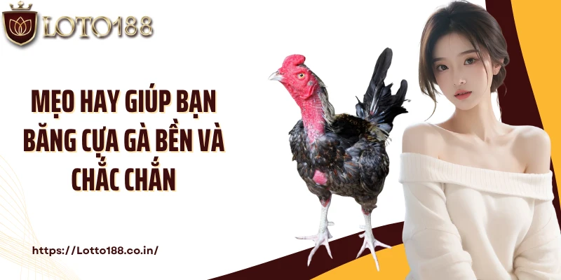 Mẹo hay giúp bạn băng cựa gà bền và chắc chắn