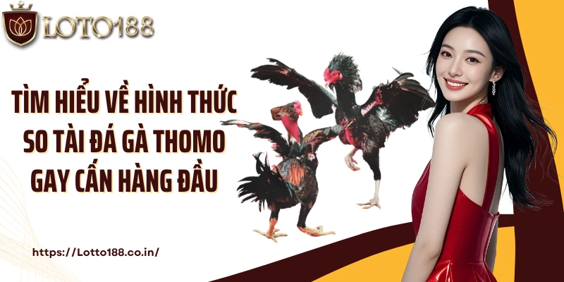 Tìm hiểu về hình thức so tài đá gà Thomo gay cấn hàng đầu